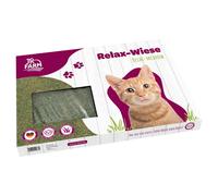 JR Farm Relax-Wiese Per Gatti 55x37cm Con Erba Gatta In Formato XXL