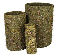 JR FARM Rotolo primavera grande 750 g