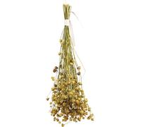 JR FARM Semi di lino 30 g