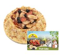 JR Fruit Cake 140 g