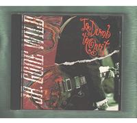 Jr Gone Wild - Too Dumb to Quit