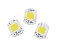 JRBJWYVV 10pcs Plant Grow Light LED 220V 30W Cold White 6500K Driverless COB LED Chips Light For Garden