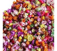 Jrifedptry 1420 fiori secchi pressati, foglie ad alta Guality per resina epossidica per la creazione di gioielli e unghie fai da te