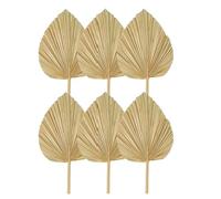 Jrifedptry 6 ventagli di palma essiccati naturali secchi, grande lancia di palma per decorazioni per matrimoni boho, decorazione tropicale con foglie di palma facili da installare, facili da usare, S