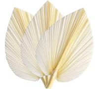 Jrifedptry Grandi foglie di palma bianche secche, qualità premium, 3 pezzi, eleganti decorazioni moderne e per matrimoni, decorazione da parete