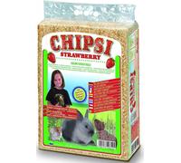 JRS Chipsi Strawberry 60 l