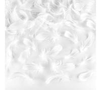 JRSHIRLEYLTD 220 piume bianche per fai da te, piume bianche, piume decorative bianche, piume naturali, per orecchini fai da te, acchiappasogni, piume copricapo, Pasqua, Natale