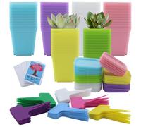 JRSHIRLEYLTD 66 vasi da coltivazione, 7 cm, con sottovaso, piccoli vasi di fiori, in plastica, mini vasi per semi, piante grasse