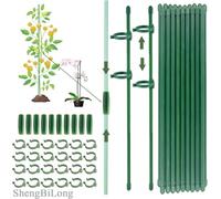 JRTYMLU Supporto per Piante,Sostegno per Piante Professionale con 40 Moschettoni e 10 Tubi Estensibili,Regolabile per Pomodori, Rose e Piante Rampicanti Resistente e Riutilizzabile(70 PCS)