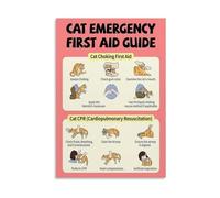 JRXFXEKW Cat First Aid Choking CPR Emergency Guide Canvas Print Wall-Art for Veterinary Office Classroom Decor(Framed,12x18inch(30x45cm))