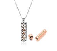 JSDDE Personalizzato Catena Memorial Urne Ciondolo Cenere Ciondolo Collana Partone Ciondolo per Cenere Capelli Chiodo Locket Ciondolo Memoriale Ciondoli Catena Con Imbuto Riempimento Kit