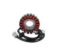 JsdZaw Bobina Statore Generatore Magneto for Motocicletta for VL125 Fi DFI ZL DF dal 2013 al 2015 31120-BA1-R300