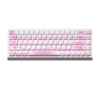 JSJTKeys Keycap a tema gatto carino, PBT lato stampato traslucido, set di 74 tasti, adatto per switch Cherry MX 60/61/65/67/68 (solo copritasti)