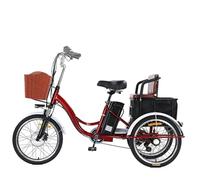 JSMDLN Triciclo elettrico assistito da 20", con cestello di ricarica e seduta, tromba e schermo LCD, facile da salire, capacità di 150 kg, per passeggeri e carica, ideale per passeggiate quotidiane e