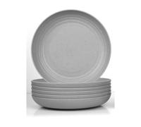 JSYMJSY Piatti Campeggio - 25cm Piatti Set per Picnic Party BBQ Insalata Pasta Dessert - 6 Piatti Piani in Plastica Riutilizzabili, Leggera, Lavabili in Microonde & Lavastoviglie (Grigio)