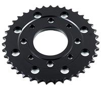 Pignone posteriore JTR 269,39