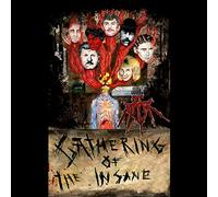 Jt Ripper - Gathering Of The Insane