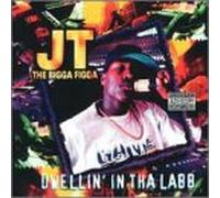 Jt the Bigga Figga - Dwellin' in The Lab