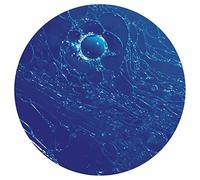 Jt The Goon - Oil On Ice Ep