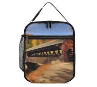 JTKBNVM Albany - Contenitore per il pranzo con ponte coperto, per donne e uomini, borsa termica per il pranzo, graziosa borsa per il pranzo per donne e adulti, grande scatola per il pranzo isolata