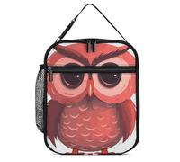 JTKBNVM Borsa termica per il pranzo, per uomini, donne, adulti, con simpatico gufo rosso, piccola borsa per il pranzo per viaggi, ufficio, lavoro, picnic, borsa termica