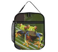 JTKBNVM Red Eyed Tree Frog Lunch Box Borsa per il pranzo per donne e uomini Borsa termica per il pranzo Borsa per il pranzo Carine Borse per il pranzo per donne Adulte Scatola per il pranzo Grande