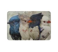 JTNWEC Zerbino morbido con stampa di quattro uccelli, 40,6 x 61 cm, antiscivolo, per pavimenti di cucina, bagno