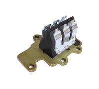 JtrWeC Gruppo valvola lamellare for Motore di Barca Adatto for Motore di Barca 6HP 8HP 6B 8B T6/T8 677-13610-00