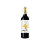 Juan Gil Yellow Label 4 Meses Magnum 2024