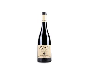 Juan Manuel Burgos Avan Tinto 2023