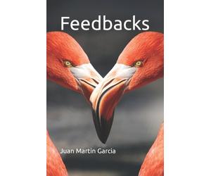 Juan Martin Garci Feedbacks. From Causal Diagrams to System Thinkin (Tascabile)