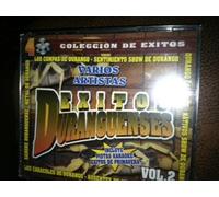 Juan Sanchez Y Su Grupo Coloso - Exitos Duranguenses 1