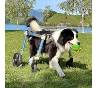JuanNest Carrello per La Mobilità del Cane,Sedia A Rotell Supporto Regolabile per Animali Domestici per Cani Disabili,Carrello di Supporto per Arti Posteriori per Animali Domestici di Taglia Media L