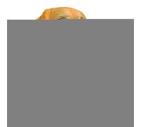 Jubilofex Dispenser per rotolo di carta igienica - Portasciugamani pratico - Supporto decorativo creativo a forma di cane salvaspazio per cucina bagno casa