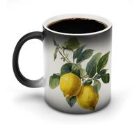 Jubonexis Bella tazza da caffè in ceramica cangiante con limoni botanici su un ramo che cambia colore, tazza da caffè divertente da 325 ml