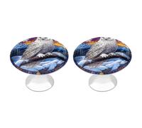 Jubonexis Maniglie rotonde in vetro colorato bianco a forma di gufo su ramo innevato per cassetti e armadietti, con viti, 2 pezzi, pomello per cassettiera, decorazione per armadio, casa, ufficio