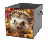 Jubonexis Simpatico riccio autunnale a forma di cubo, cubi portaoggetti a cubo, pieghevoli, decorativi, in tessuto, organizer per la casa, con manici, per scaffali, armadi, 27 x 27 cm
