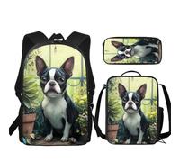 JUDENTIDOS Zaino per ragazzi ragazze borse da scuola con portapranzo astuccio set 3 pezzi carino librerie per asilo elementare prescolare medio, Carino Boston Terrier