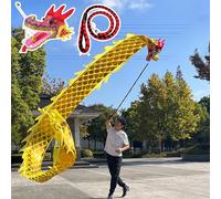 Juggling Dragon Streamer, nastro di seta Flowy Poi Dance con scala e testa, uso esterno per parco, cortile, spiaggia