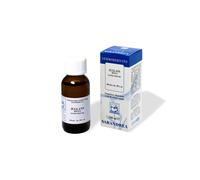 Juglans Regia Sarandrea 100ml