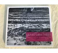 JUHASZ, GABOR TRIO - MAKING A CHANGE..