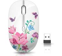 JUHOO Mouse wireless con ricevitore nano per PC, laptop, notebook, computer, MacBook, meno rumore, mouse ottico portatile portatile