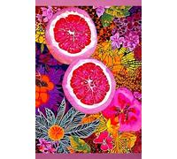 JUICY FRUIT GRAPEFRUIT Tropical Citrus-Botanical Floral Garden Kaleidoscope Art-JOURNAL NOTEBOOK DIARY RECIPE BLANK BOOK-Flower Artist Women Teen Girl ... SCHOOL SUPPLY֎College University