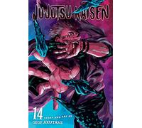 Jujutsu Kaisen 14: right and wrong