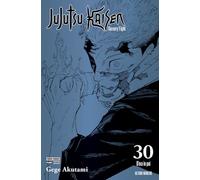 Jujutsu Kaisen. Sorcery Fight. Ediz. variant. D'ora in poi (Vol. 30)