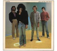 JULES AND THE POLAR BEARS - FANETIKS LP UK CBS 1979