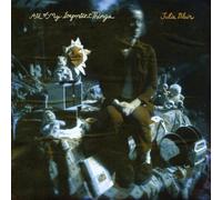 Julia Blair All of My Important Things (Vinyl LP) 12" Album