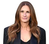 Julia Roberts (Graffiti Dress) Half Body Buddy Cutout