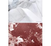 Julian Stettler The Glacier is a Being (Copertina rigida)