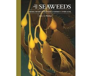 Julie A. Phillips The Lives of Seaweeds (Copertina rigida)